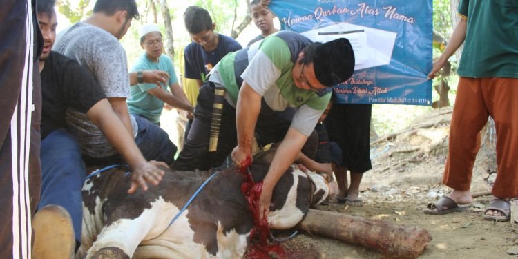 Momen Idul Adha 1440 H di Pesantren Al-Andalus