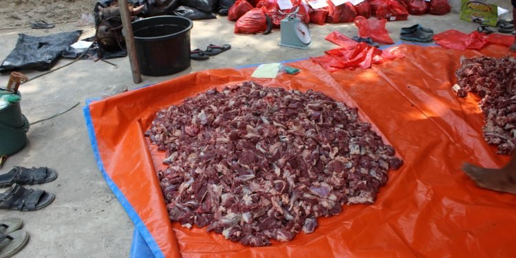 Momen Idul Adha 1440 H di Pesantren Al-Andalus