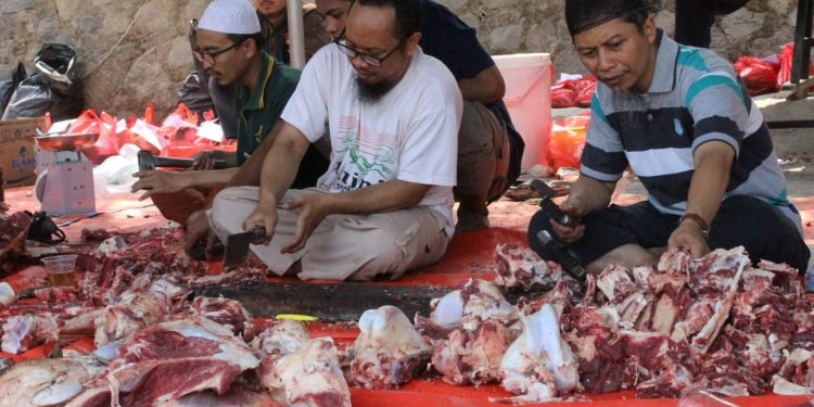 Momen Idul Adha 1440 H di Pesantren Al-Andalus