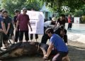 Sembelih 62 Hewan, Al-Andalus Salurkan 1.166 Paket Daging Kurban