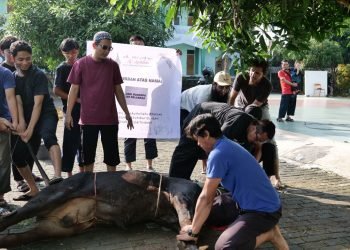 Sembelih 62 Hewan, Al-Andalus Salurkan 1.166 Paket Daging Kurban