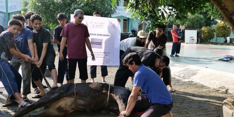 Sembelih 62 Hewan, Al-Andalus Salurkan 1.166 Paket Daging Kurban